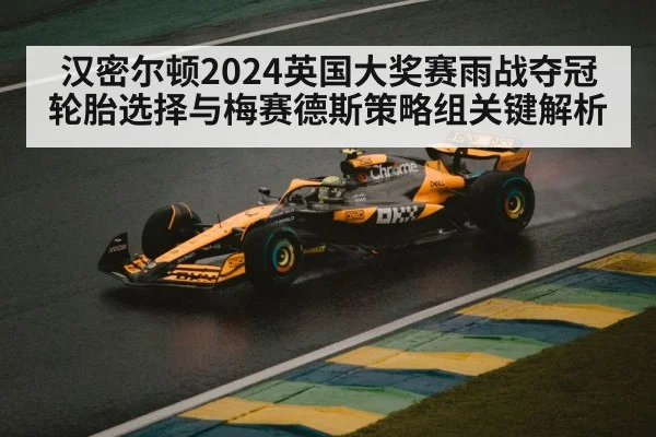 formula 1 car rain race